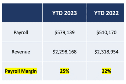 Chart illustrating Profit Margins: A Crucial Metric for Your Vacation Rental Business, emphasizing timely review for optimizing revenue and expense